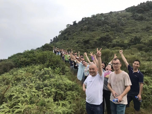 公司團建活動